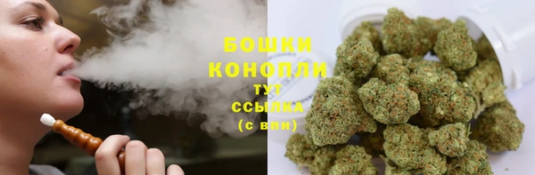 сатива Покров