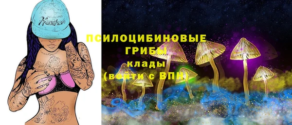 эйфоретик Балахна