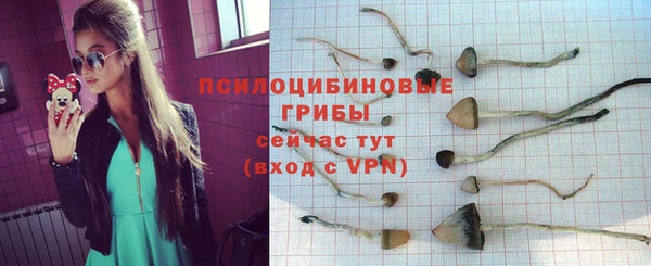 мет Покачи
